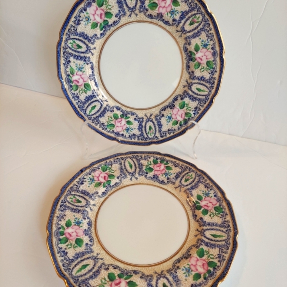 2 Royal Doulton Salad Plates
